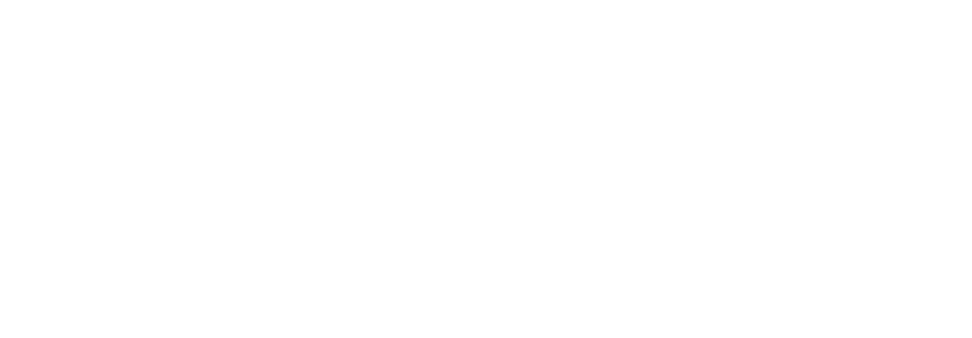 flash white logo